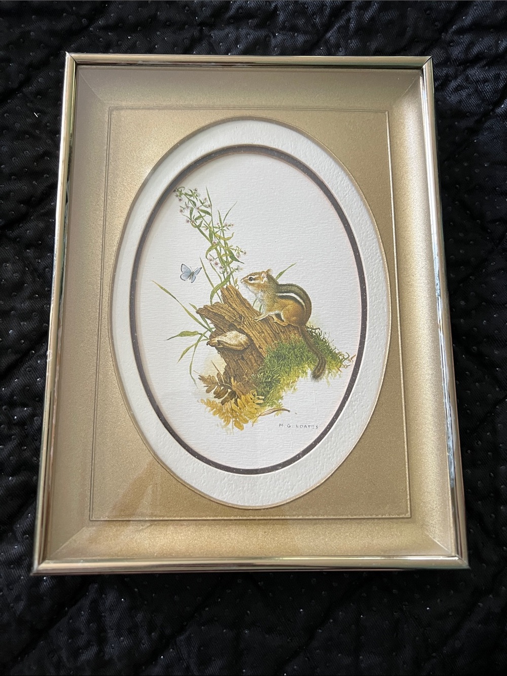 Vintage M.G. Glen Loates Framed Mini Art Print - Chipmunk & Butterfly